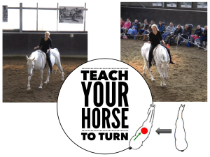 teach-your-horse-to-turn