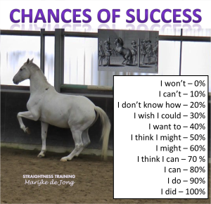 03-chances-success