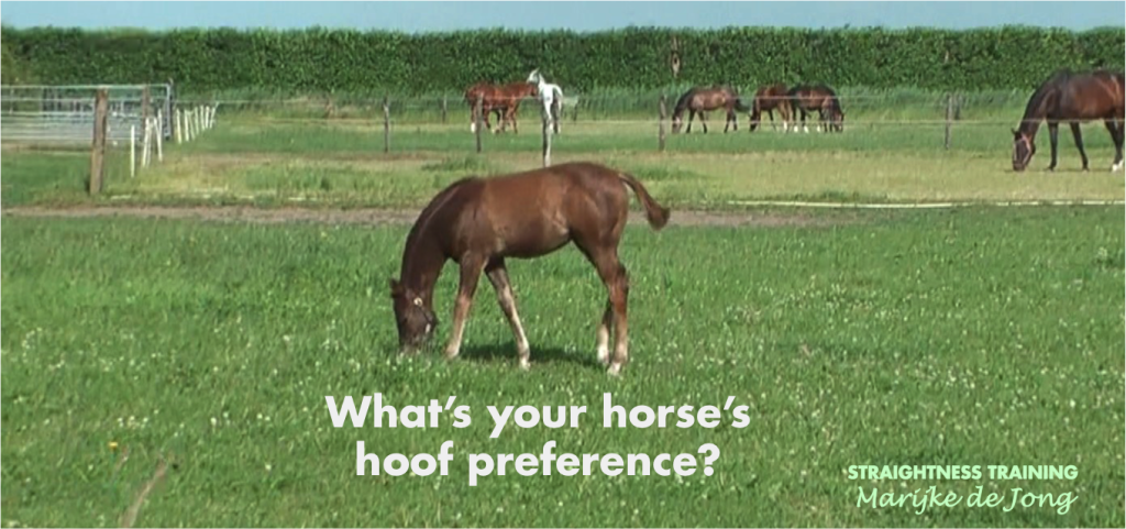 hoof-preference
