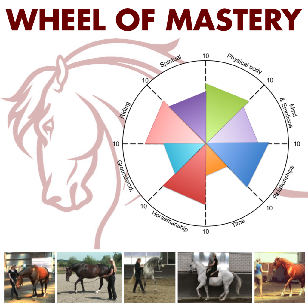 The Wheel of Mastery